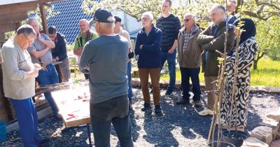 Dieses Jahr wird eine gute Obsternte erwartet