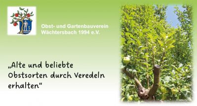 Obst- und Gartenbauverein Wächtersbach (OGV): Gut besuchter Vortrag „Alte Obstsorten durch Veredeln erhalten“