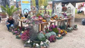 herbstmarkt2022-035