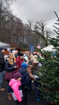 schlossweihnacht2025-002